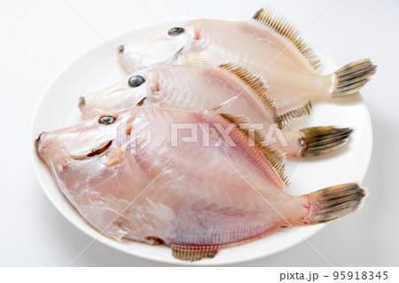 皮を剥いだカワハギ。 95918345