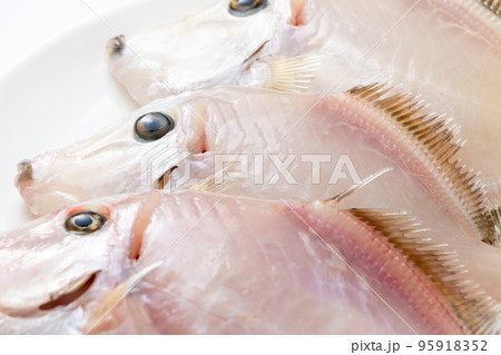 皮を剥いだカワハギ。 95918352