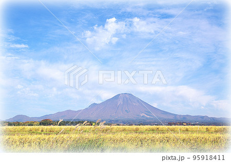 収穫期を迎えた黄金色の稲穂と大山の風景（イラスト風） 95918411