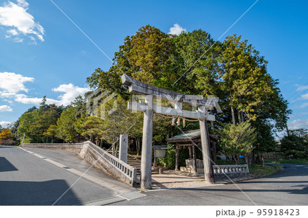 天萬神社 鎮守の森 鳥取県西伯郡南部町天萬 天萬神社 鎮守の森 鳥取県西伯郡南部町天萬 95918423