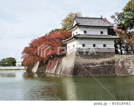新潟県　新発田城　秋 95918491