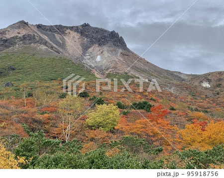鮮やかな紅葉と荒々しい岩の茶臼岳 95918756