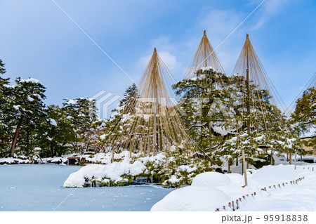 雪化粧した兼六園　～唐崎松の雪吊り～ 95918838