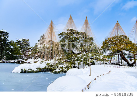 雪化粧した兼六園 ~唐崎松の雪吊り~ 雪化粧した兼六園 ~唐崎松の雪吊り~ 95918839