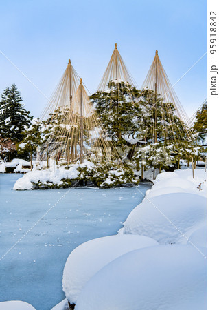 雪化粧した兼六園　～唐崎松の雪吊り～ 95918842