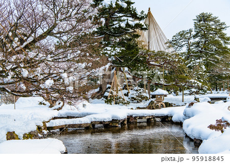 雪化粧した兼六園 ~雁行橋~ 雪化粧した兼六園 ~雁行橋~ 95918845