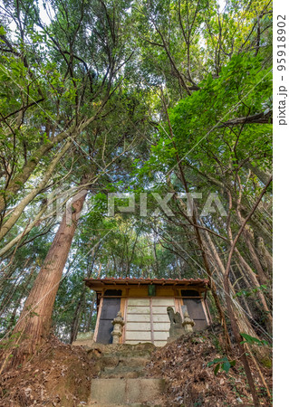 楽々福神社　拝殿　鳥取県西伯郡南部町中 95918902