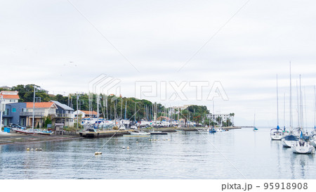 ヨットハーバーに停泊するヨット（湘南三浦半島の神奈川県三浦市諸磯港）の秋 95918908