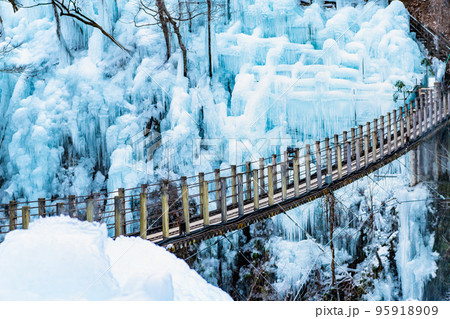 埼玉県　秩父の尾ノ内氷柱 95918909