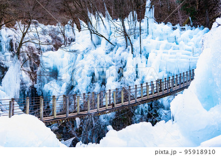 埼玉県 秩父の尾ノ内氷柱 埼玉県 秩父の尾ノ内氷柱 95918910