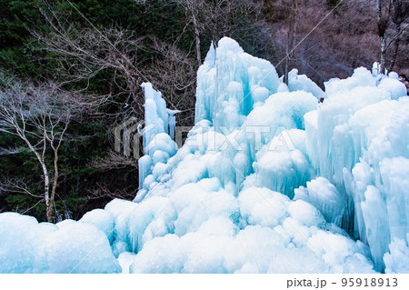 埼玉県 秩父の尾ノ内氷柱 埼玉県 秩父の尾ノ内氷柱 95918913