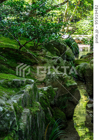 綺麗な川 95919482