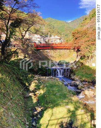 大山 阿夫利神社 散策 95919577