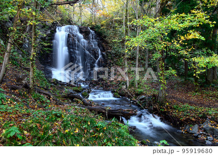 森の奥 ひっそり流れる錦見の滝 秋田県 鹿角市 森の奥 ひっそり流れる錦見の滝 秋田県 鹿角市 95919680