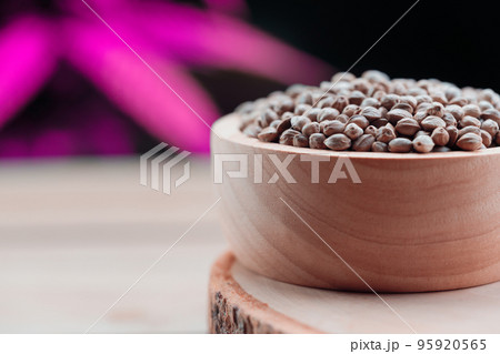 Legalized cannabis concept for medical and healthcare purpose shown by hemp seed 95920565