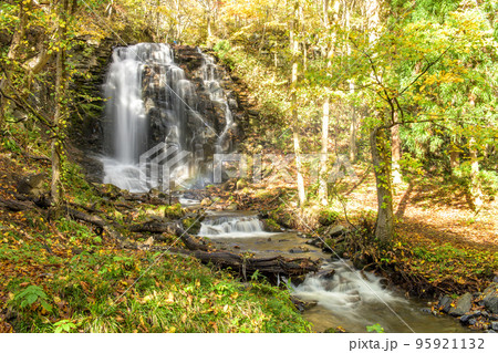 木漏れ日差し込む錦見の滝 秋田県 鹿角市 木漏れ日差し込む錦見の滝 秋田県 鹿角市 95921132