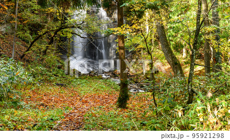 落ち葉を踏んで錦見の滝へ　中滝セラピーロード　秋田県　鹿角市 95921298