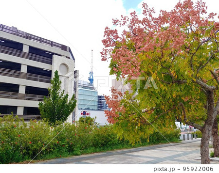 沖縄　新都心公園11 95922006