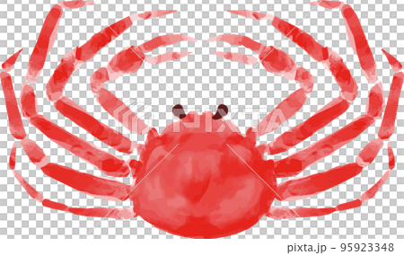 カニの水彩イラスト素材 ズワイガニ カニの水彩イラスト素材 ズワイガニ 95923348