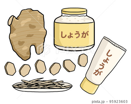 生姜とすりおろし生姜と刻み生姜のイラスト 95923603