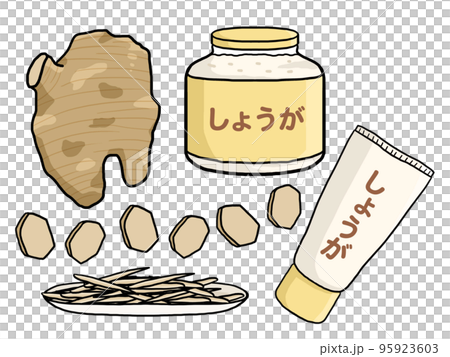 生姜とすりおろし生姜と刻み生姜のイラスト 95923603