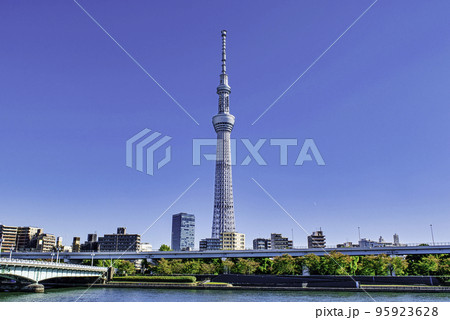 風景画東京隅田川SHO