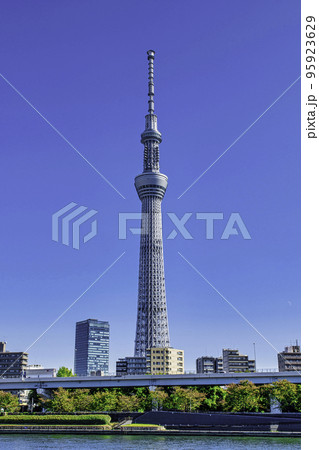 東京スカイツリー　隅田川　隅田公園展望広場からの風景 95923629