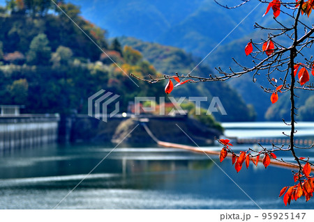 小河内ダムから多摩川及び奥多摩湖付近の紅葉の風景 小河内ダムから多摩川及び奥多摩湖付近の紅葉の風景 95925147