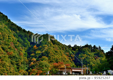 小河内ダムから多摩川及び奥多摩湖付近の紅葉の風景 95925207