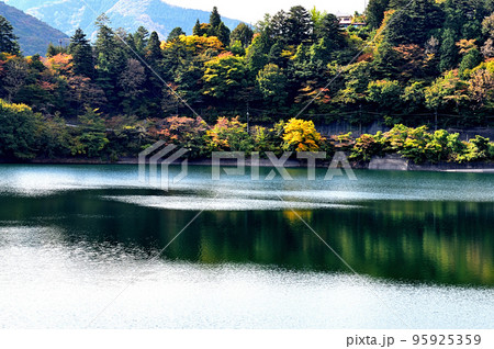 奥多摩湖畔いこいの路からの紅葉の風景 奥多摩湖畔いこいの路からの紅葉の風景 95925359