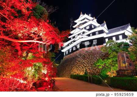 【岡山県】岡山城の紅葉ライトアップ(令和の大改修後) 【岡山県】岡山城の紅葉ライトアップ(令和の大改修後) 95925659