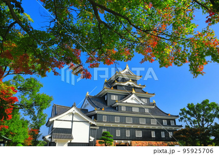 【岡山県】大改修後の岡山城(令和の大改修) 【岡山県】大改修後の岡山城(令和の大改修) 95925706