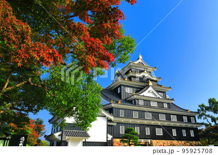 【岡山県】紅葉の岡山城(令和の大改修後) 【岡山県】紅葉の岡山城(令和の大改修後) 95925708