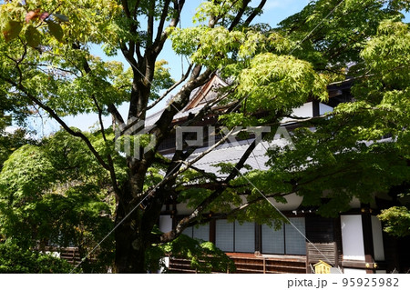 京都　東山　 将軍塚青龍殿　紅葉前の青龍殿（秋） 95925982