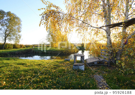 Rural landscape. Pond trees birches garden, old wooden arbor bench table, sunset autumn 95926188