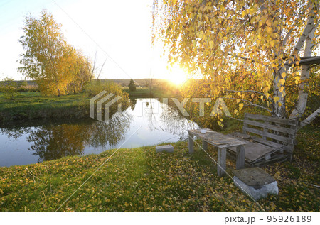 Rural landscape. Pond trees birches garden, old wooden arbor bench table, sunset autumn Rural landscape. Pond trees birches garden, old wooden arbor bench table, sunset autumn 95926189