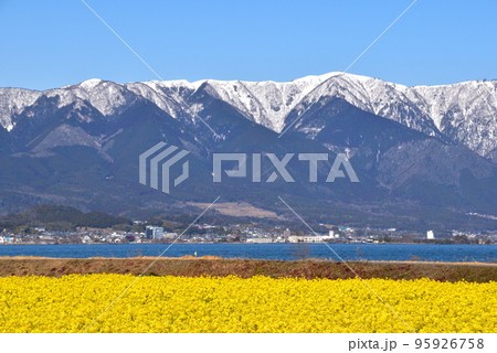 春 菜の花畑 比良山系 春 菜の花畑 比良山系 95926758