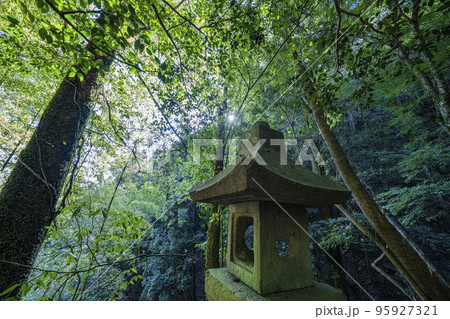 日龍峯寺　高澤観音境内の景色　北条政子の寄進した多宝塔のある寺 95927321