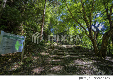 日龍峯寺　高澤観音境内の景色　北条政子の寄進した多宝塔のある寺 95927325