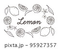 レモン2 95927357