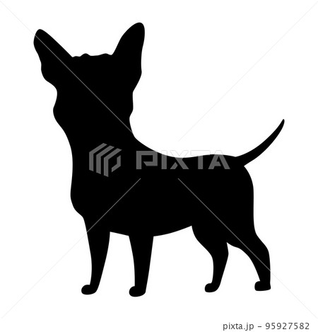 Dog silhouette, chihuahua breed. Side view pet stand icon in black color. Make used for dog show, competition, pet store, guide dog, dog walking. Domestic animal isolated on white background 95927582