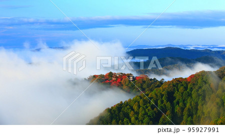 【岡山県】天空の城 紅葉の備中松山城 【岡山県】天空の城 紅葉の備中松山城 95927991