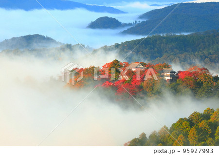 【岡山県】天空の城 紅葉の備中松山城 【岡山県】天空の城 紅葉の備中松山城 95927993