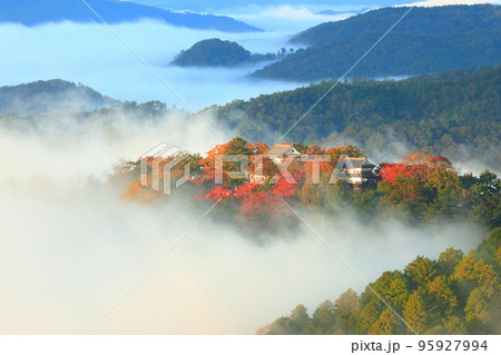 【岡山県】天空の城　紅葉の備中松山城 95927994