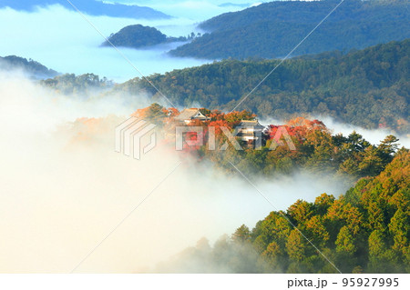 【岡山県】天空の城 紅葉の備中松山城 【岡山県】天空の城 紅葉の備中松山城 95927995