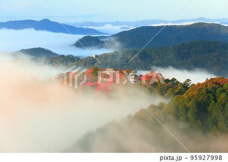 【岡山県】天空の城　紅葉の備中松山城 95927998