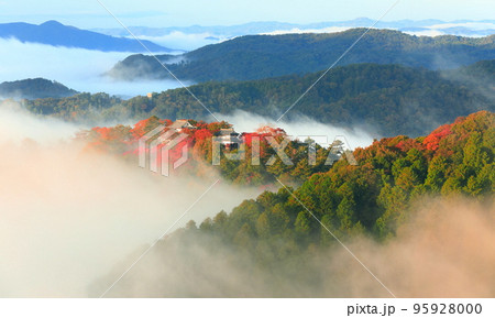 【岡山県】天空の城　紅葉の備中松山城 95928000