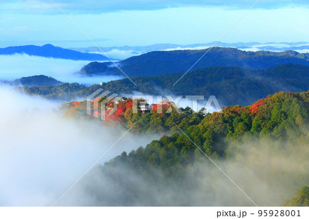 【岡山県】天空の城　紅葉の備中松山城 95928001