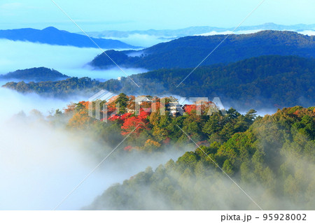 【岡山県】天空の城 紅葉の備中松山城 【岡山県】天空の城 紅葉の備中松山城 95928002