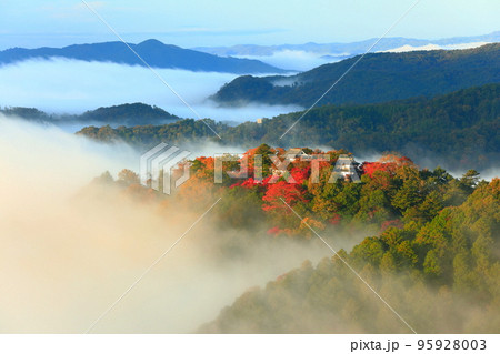 【岡山県】天空の城　紅葉の備中松山城 95928003